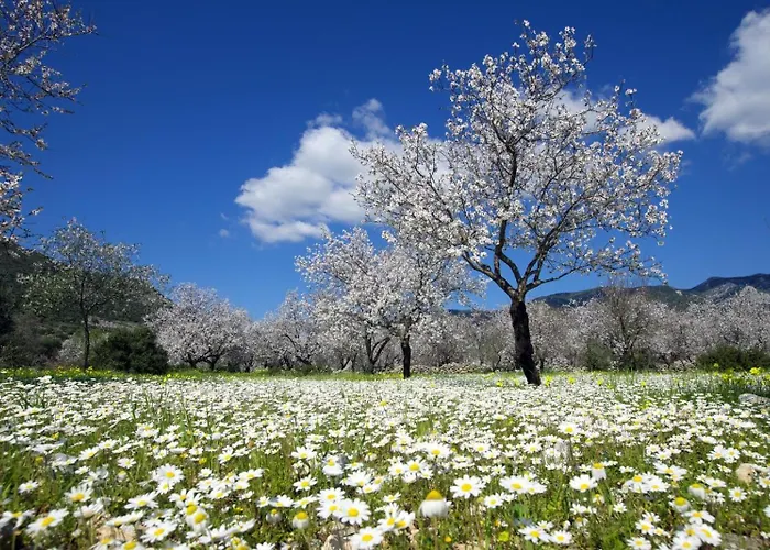 度假居 Adore Datca Beach House *